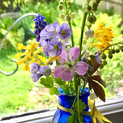 nancywisser@mastodon.social