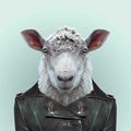 Mastodon profile picture for @marshall