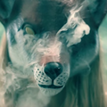 Mastodon profile picture for @terrible