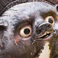 Mastodon profile picture for @sy