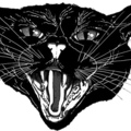 Mastodon profile picture for @ptr