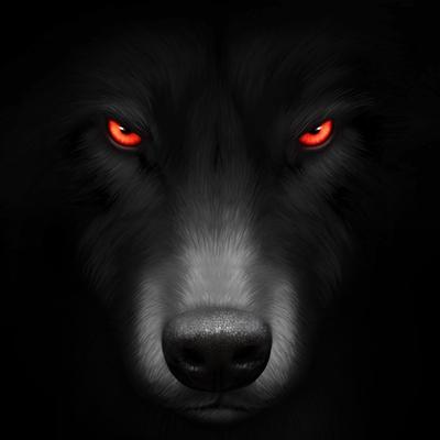 Jason Daigo's profile picture