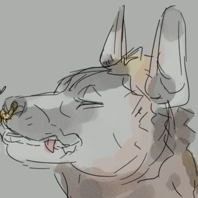 Mastodon profile picture for @XL