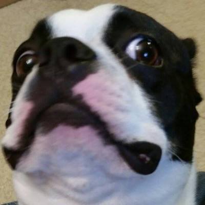 Mastodon profile picture for @jonestown