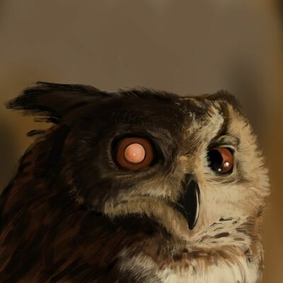 javadotdutil's avatar