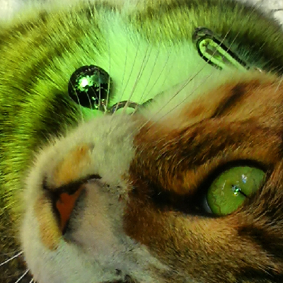 Charlux's avatar