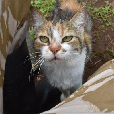 megnu's avatar