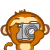 option2@mastodon.social