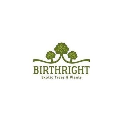 Mastodon profile picture for @birthright