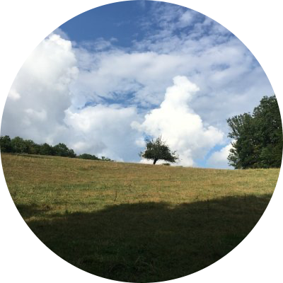 reinerbaur's avatar