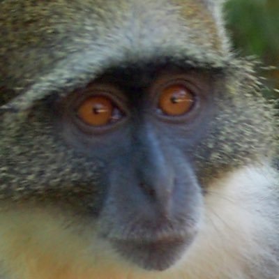 kongjules's avatar