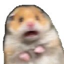 Mastodon profile picture for @nikkheyy