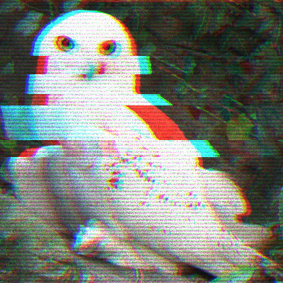 garbledowl's avatar