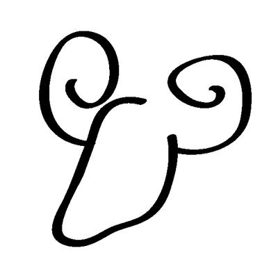 chrysomeles