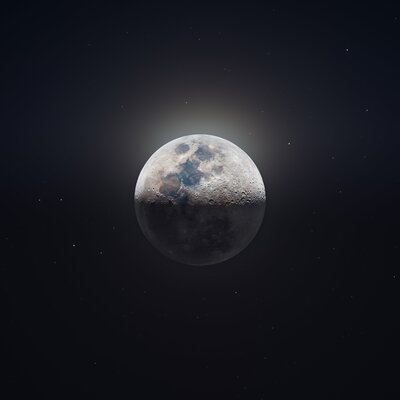 Mastodon profile picture for @ltd