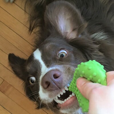 devononabike's avatar