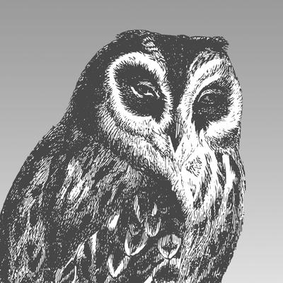 effinbirds@mastodon.social