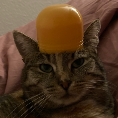 phisch's avatar