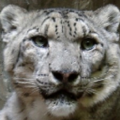 usrbin's avatar