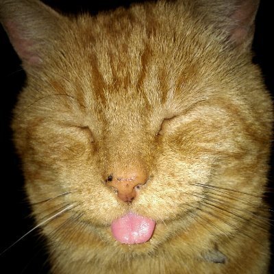 WickyNilliams's avatar