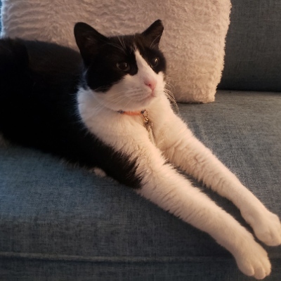 ThenIWhispered's profile picture