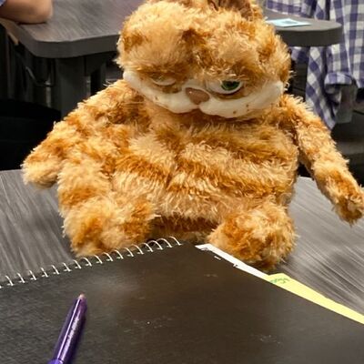 catboygarfield@mastodon.social