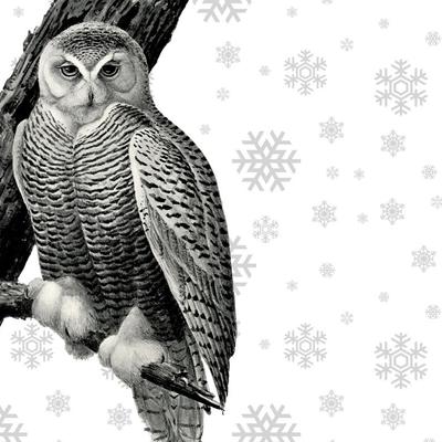 husseinalalak@mastodon.social