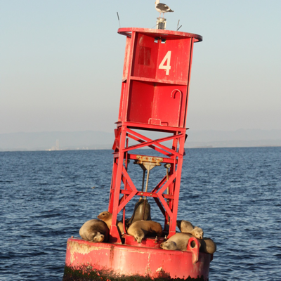 ReefBuoy