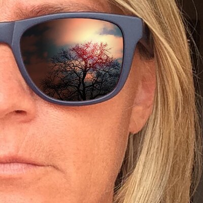 moreiter's avatar