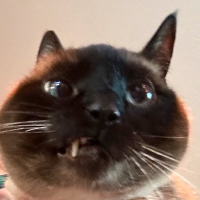 FearDaToof's avatar