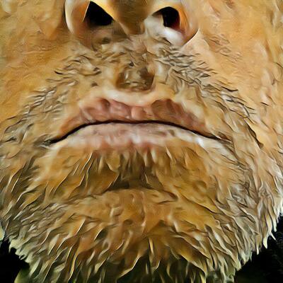 Dirk_Jaiser
