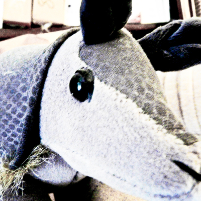 Armadillosoft