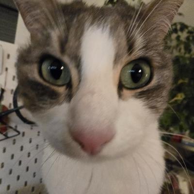 timei's profile picture