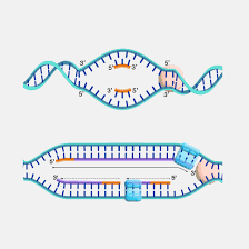 Mastodon profile picture for @biochem