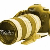 photoglobe's avatar