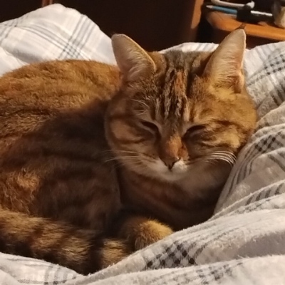Finnbar