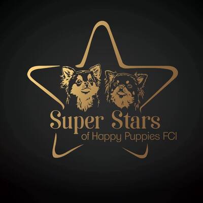 Mastodon profile picture for @superstars