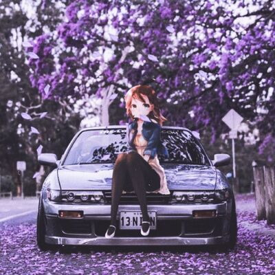 Mastodon profile picture for @wrap