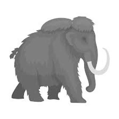 westsibe@mastodon.social