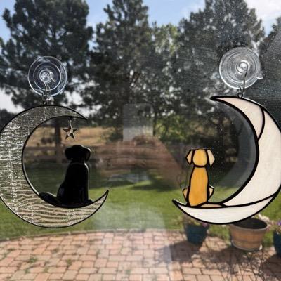 steve_west's avatar