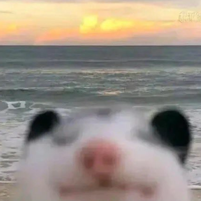 [?]