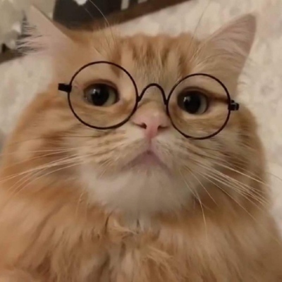 Mastodon profile picture for @Vess