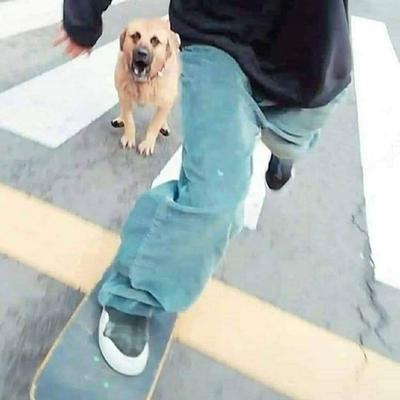 sk8er
