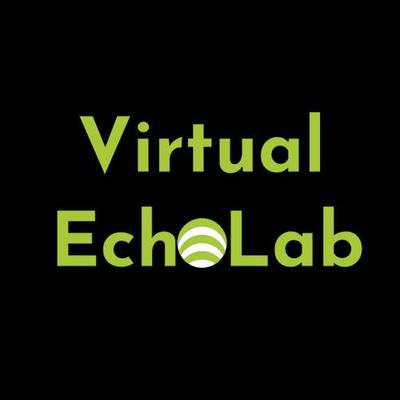 Virtual Echo Lab (@virtualecholab@mastodon.social) - Mastodon