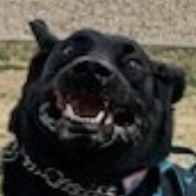 sh_sn's avatar