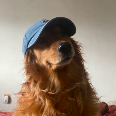 user748686's avatar