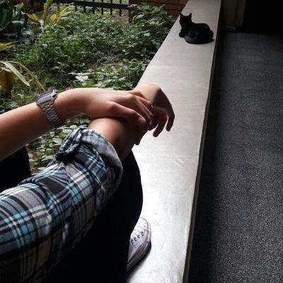 luibi's avatar