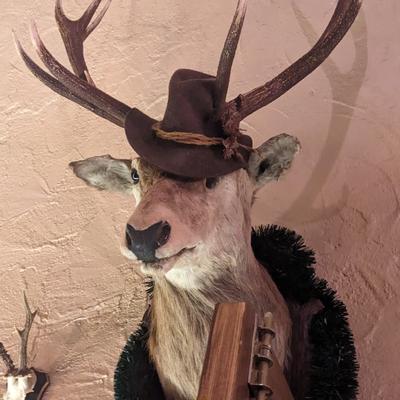 fraustrauch's avatar