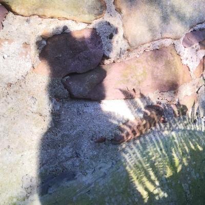 cedricjaburek's avatar