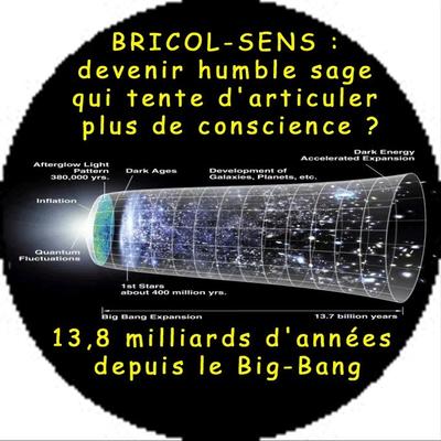 Bricol_Sage's avatar